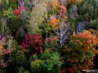 23055RoCrLeSh - Autumn colours from the Taunton Road bridge over Duffins Creek.JPG